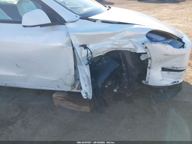 2024 TESLA MODEL Y 7SAYGDEE0RA257460 Photo 5
