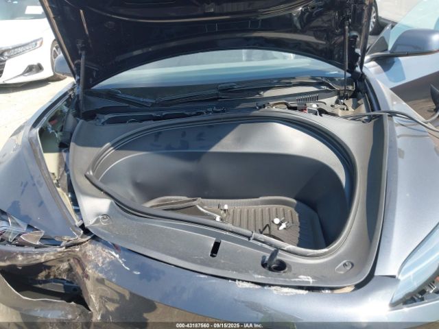2025 TESLA MODEL 3 5YJ3E1EA9SF040314 Photo 9