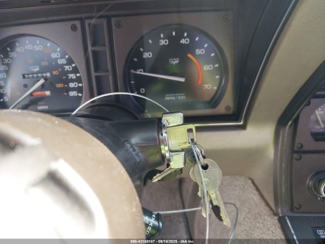 1982 CHEVROLET CORVETTE MVIN56228IND Photo 10