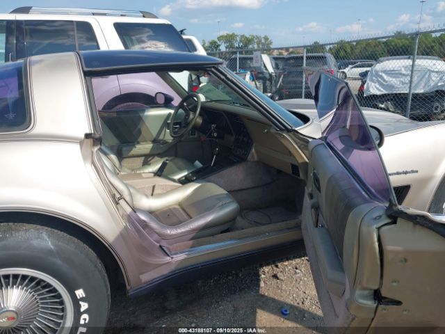 1982 CHEVROLET CORVETTE MVIN56228IND Photo 4