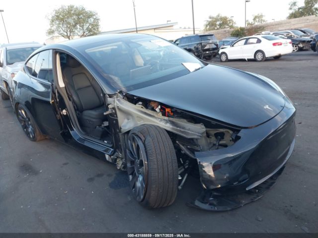 2024 TESLA MODEL Y 7SAYGDEF1RF122502 Photo 0