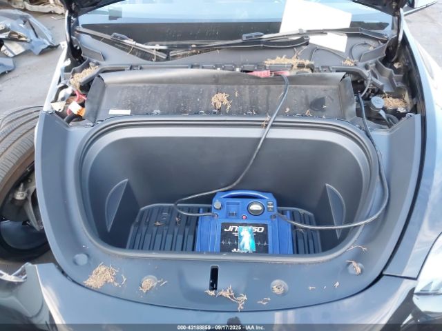 2024 TESLA MODEL Y 7SAYGDEF1RF122502 Photo 9