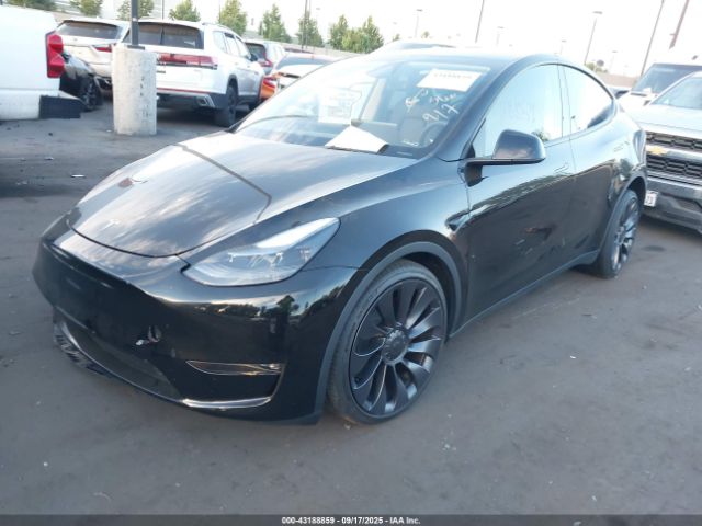 2024 TESLA MODEL Y 7SAYGDEF1RF122502 Photo 1