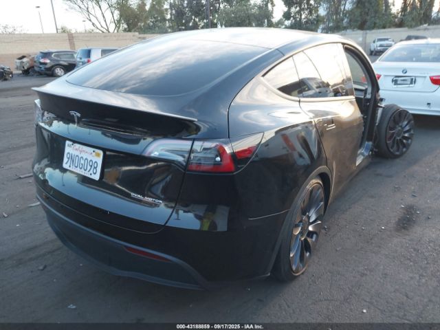 2024 TESLA MODEL Y 7SAYGDEF1RF122502 Photo 3