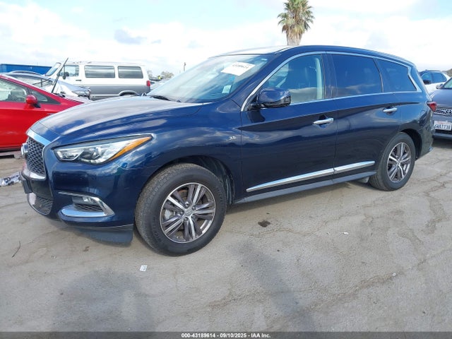 5N1DL0MN1KC515262 Infiniti QX60