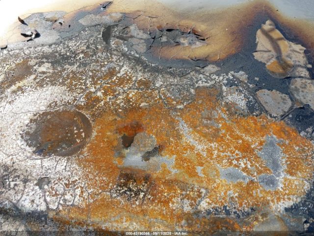 1993 MERCEDES-BENZ 500 WDBFA67E5PF072510 Photo 5