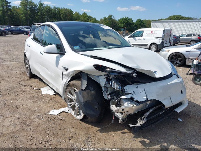 2023 TESLA MODEL Y 7SAYGDEE8PA126452 Photo 0