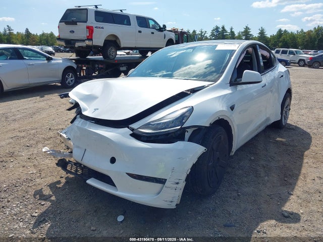 2023 TESLA MODEL Y 7SAYGDEE8PA126452 Photo 1
