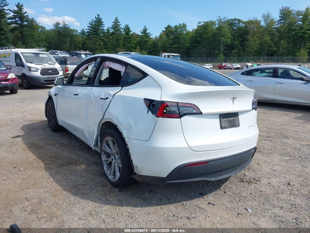 2023 TESLA MODEL Y 7SAYGDEE8PA126452 Photo 2