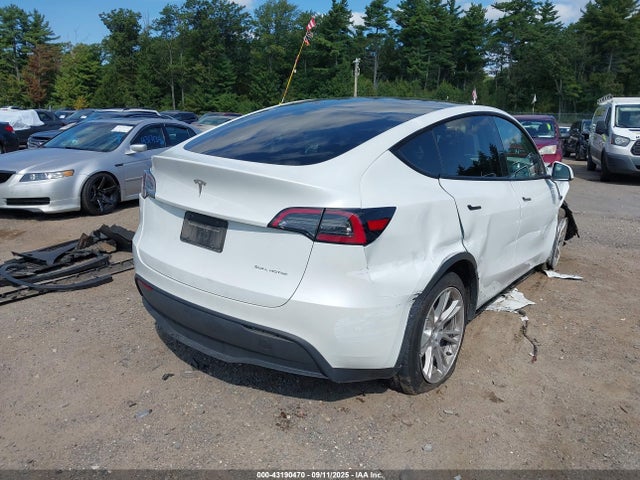 2023 TESLA MODEL Y 7SAYGDEE8PA126452 Photo 3
