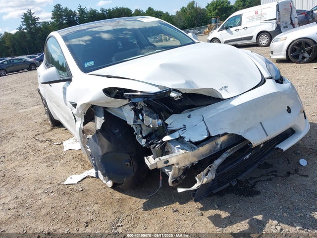 2023 TESLA MODEL Y 7SAYGDEE8PA126452 Photo 5