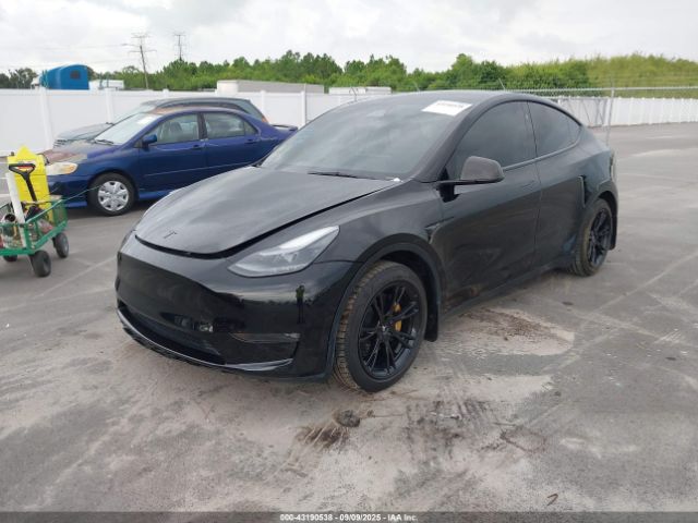 2023 TESLA MODEL Y 7SAYGAEE5PF830903 Photo 1