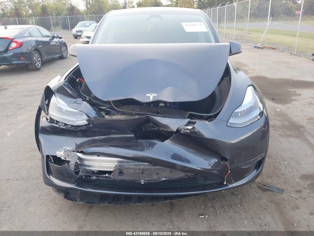Tesla 2025 2025 7SAYGDEE7SA346643 Image 11