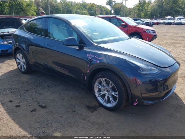 2024 TESLA MODEL Y 7SAYGDEE2RA234942 Photo 0