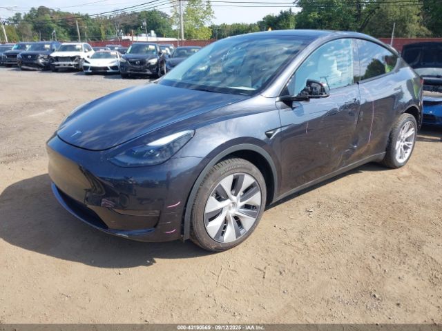 2024 TESLA MODEL Y 7SAYGDEE2RA234942 Photo 1