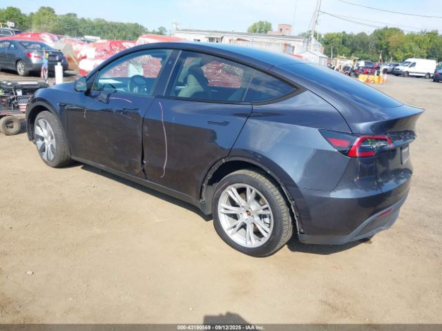 2024 TESLA MODEL Y 7SAYGDEE2RA234942 Photo 2