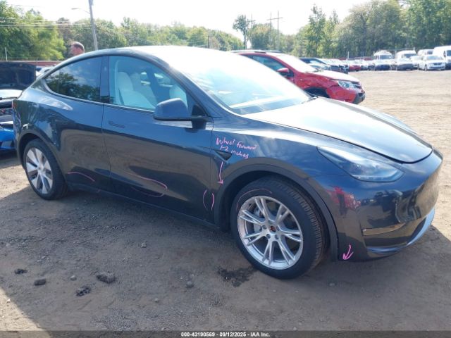 2024 TESLA MODEL Y 7SAYGDEE2RA234942 Photo 5