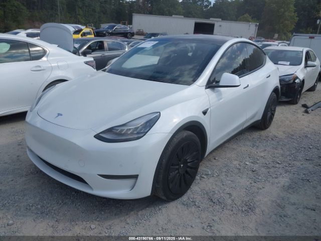 2020 TESLA MODEL Y 5YJYGDEE4LF038301 Photo 1