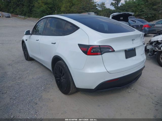 2020 TESLA MODEL Y 5YJYGDEE4LF038301 Photo 2