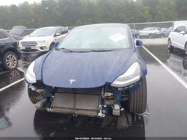 Tesla 2019 2019 5YJ3E1EB5KF231687 Image 12