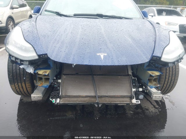 Tesla 2019 2019 5YJ3E1EB5KF231687 Image 6