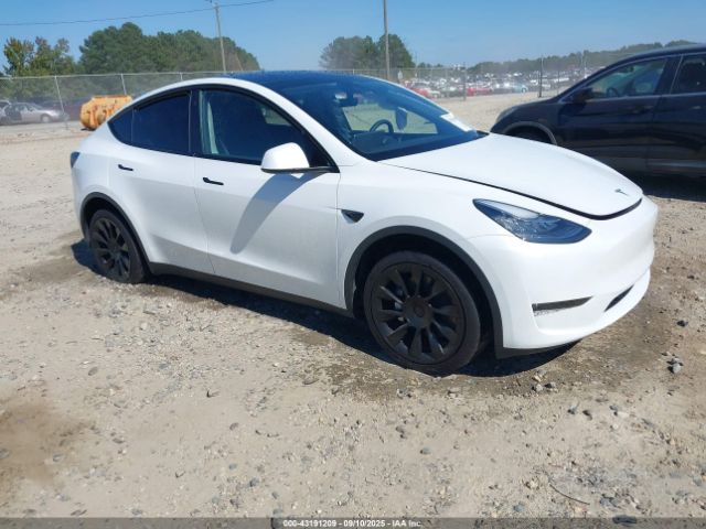 2023 TESLA MODEL Y 7SAYGDEE7PA123770