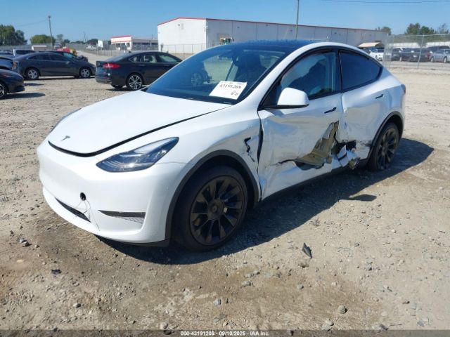 2023 TESLA MODEL Y 7SAYGDEE7PA123770 Photo 1