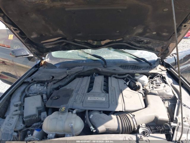 2021 FORD MUSTANG 1FA6P8CF0M5116690 Photo 9