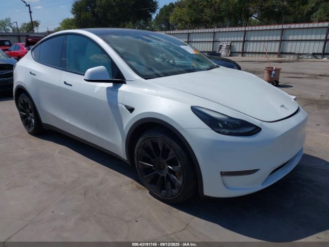2023 TESLA MODEL Y 7SAYGAEE7PF662925 Photo 0