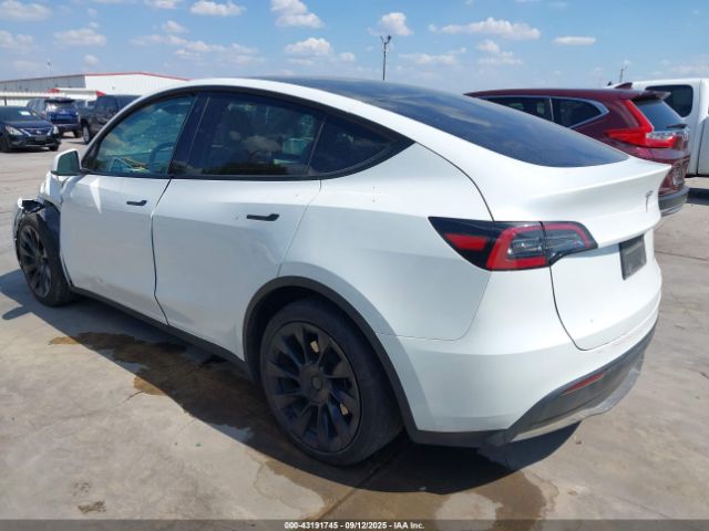 2023 TESLA MODEL Y 7SAYGAEE7PF662925 Photo 2