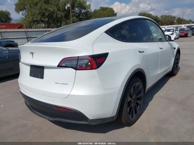 2023 TESLA MODEL Y 7SAYGAEE7PF662925 Photo 3