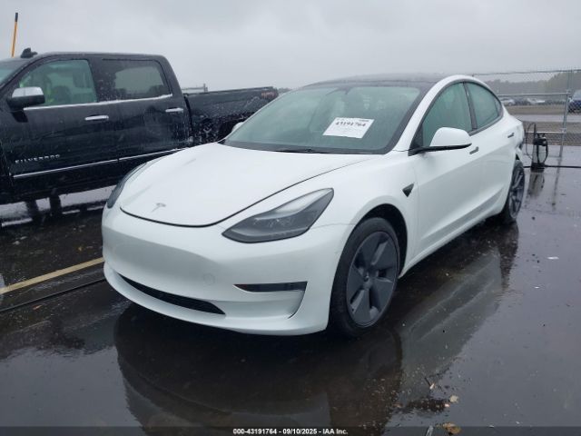 2023 TESLA MODEL 3 5YJ3E1EA6PF466811 Photo 1