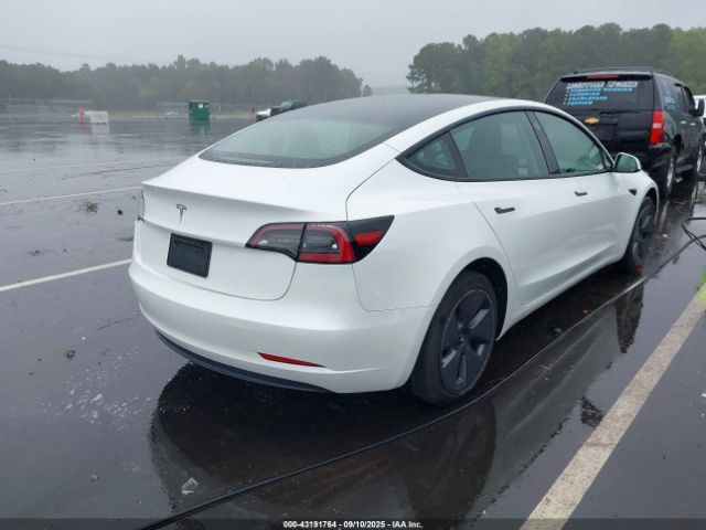 2023 TESLA MODEL 3 5YJ3E1EA6PF466811 Photo 3