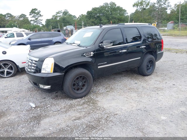2011 CADILLAC ESCALADE 1GYS4AEF9BR304677 Photo 1