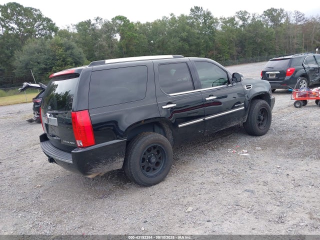 2011 CADILLAC ESCALADE 1GYS4AEF9BR304677 Photo 3