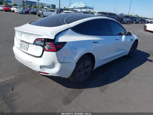 2023 TESLA MODEL 3 5YJ3E1EAXPF419944 Photo 3