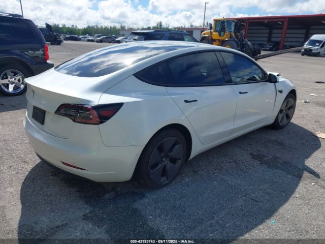 2021 TESLA MODEL 3 5YJ3E1EA7MF907776 Photo 3