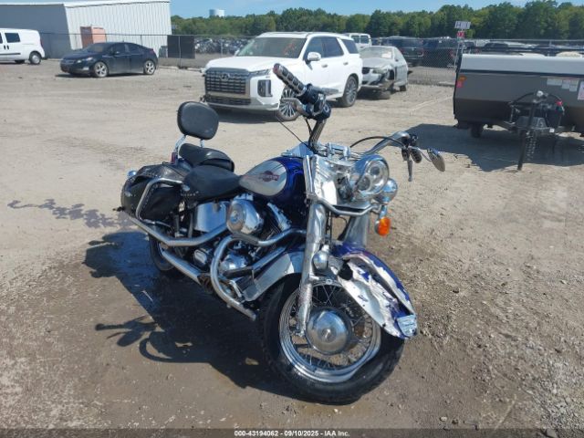 2006 HARLEY-DAVIDSON FLSTCI 1HD1BWB196Y012308