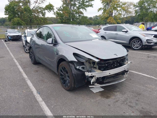2024 TESLA MODEL Y 7SAYGAEE1RF109836 Photo 0