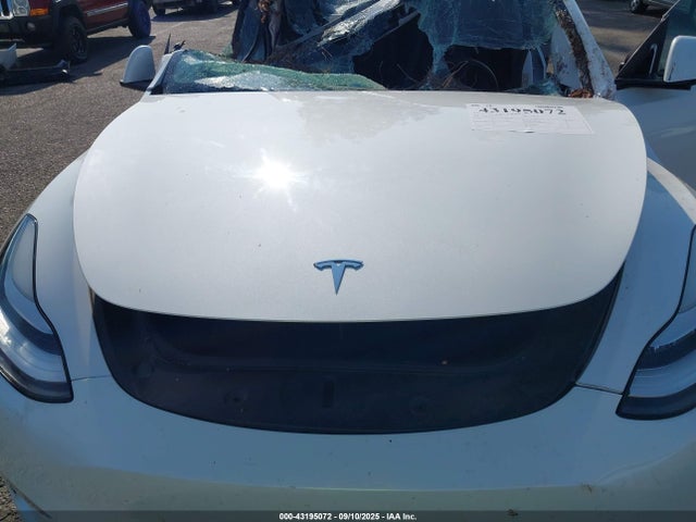 Tesla 2021 2021 5YJYGDEE6MF229946 Image 10