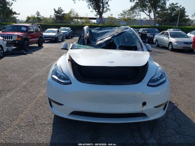 Tesla 2021 2021 5YJYGDEE6MF229946 Image 12