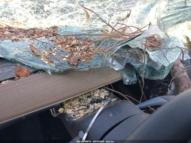 Tesla 2021 2021 5YJYGDEE6MF229946 Image 17