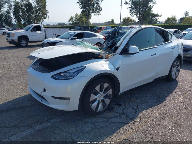 Tesla 2021 2021 5YJYGDEE6MF229946 Image 2