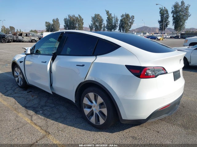 Tesla 2021 2021 5YJYGDEE6MF229946 Image 3