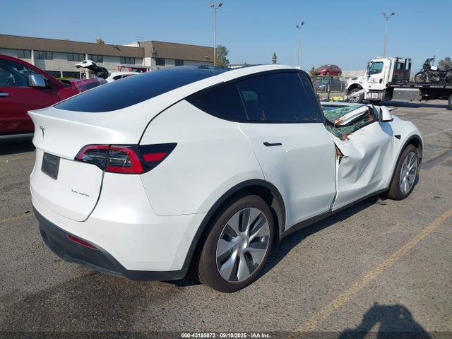 Tesla 2021 2021 5YJYGDEE6MF229946 Image 4