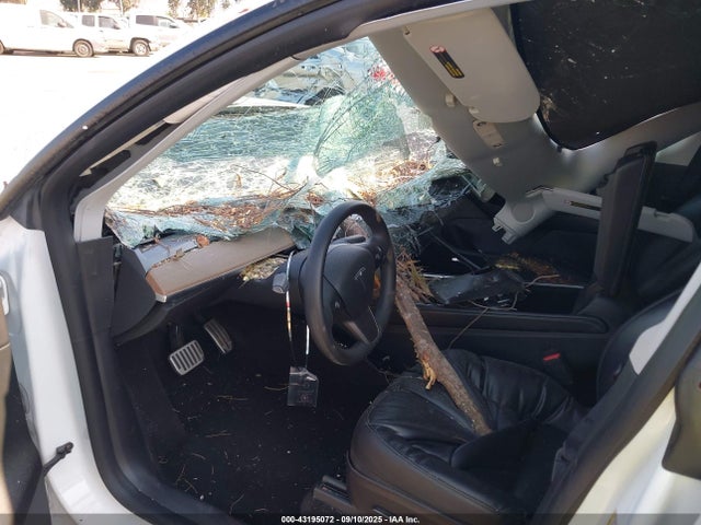 Tesla 2021 2021 5YJYGDEE6MF229946 Image 5