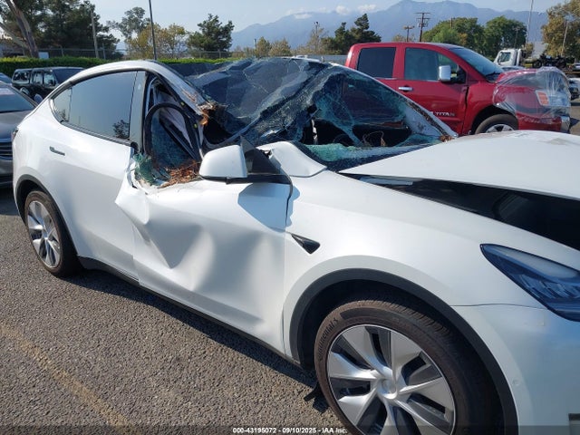 Tesla 2021 2021 5YJYGDEE6MF229946 Image 6