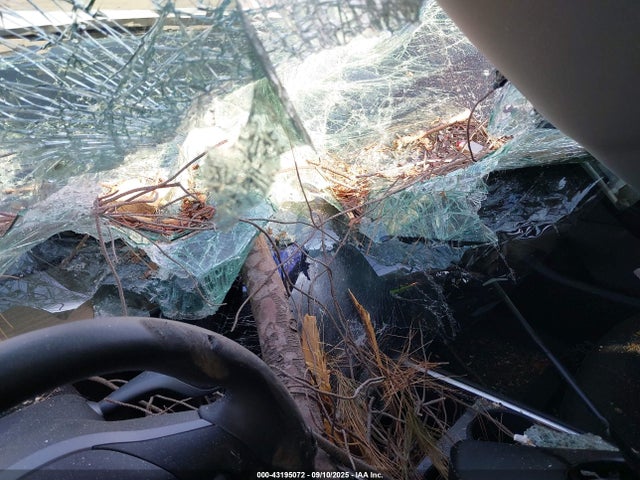 Tesla 2021 2021 5YJYGDEE6MF229946 Image 7