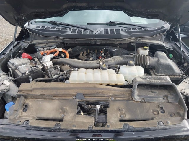 Ford 2024 2024 1FTFW3LD7RFA40756 Image 10