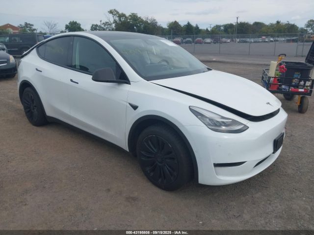 2021 TESLA MODEL Y 5YJYGDEE3MF295032 Photo 0